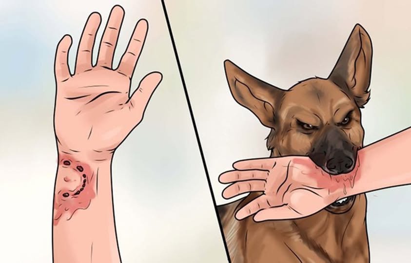 Người đàn ông qua đời sau 2 tháng bị mèo cắn - Ảnh 1.