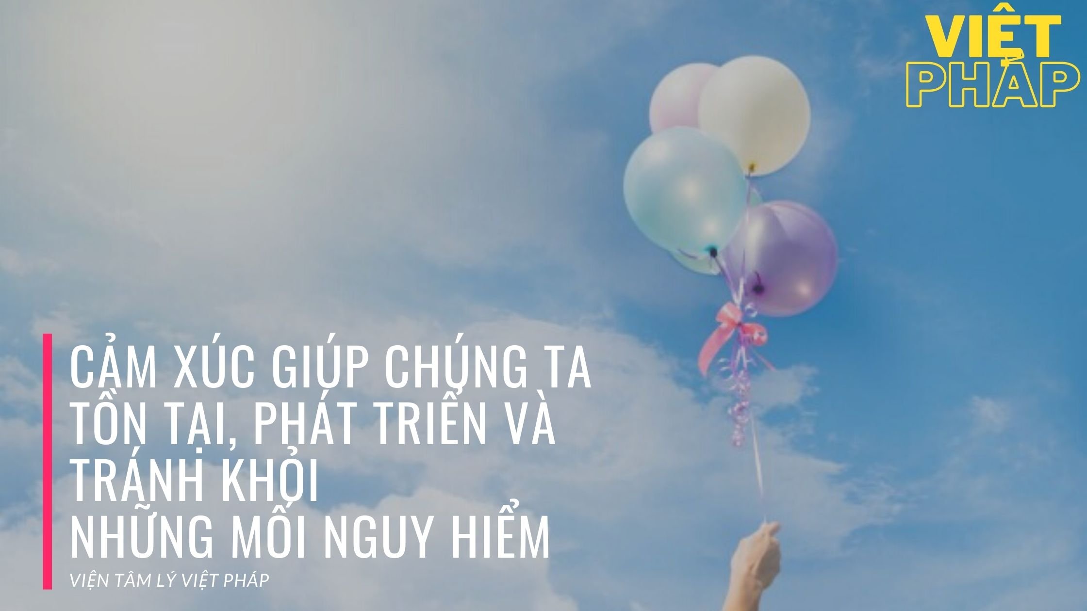 Cảm xúc giúp chúng ta tồn tại