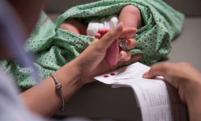 Tình hình sinh sản tại Việt Nam: Phụ nữ tỉnh nào có tỷ lệ sinh cao nhất? - Ảnh 3.