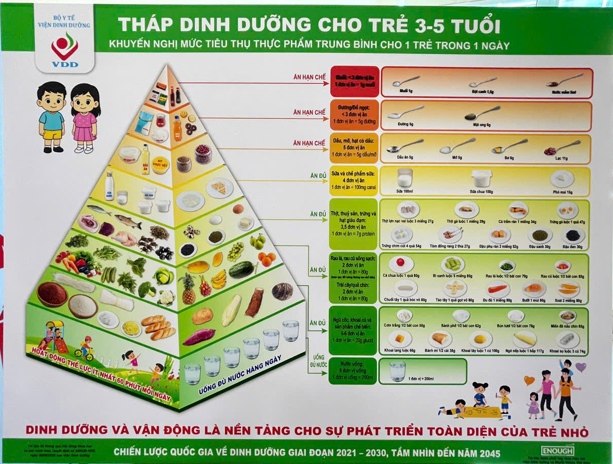 Việt Nam ra mắt 6 tháp dinh dưỡng theo từng độ tuổi - Ảnh 4.