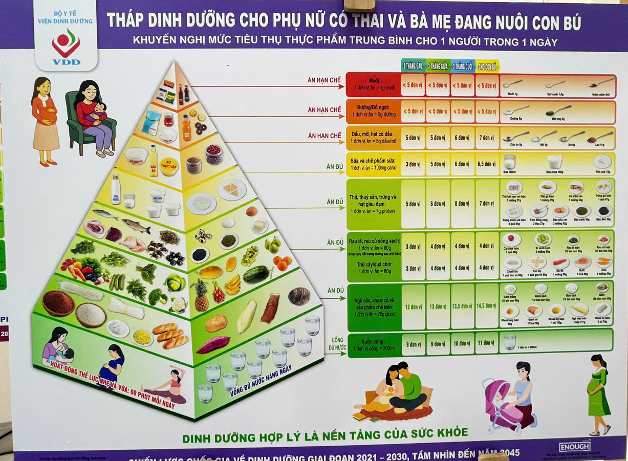 Việt Nam ra mắt 6 tháp dinh dưỡng theo từng độ tuổi - Ảnh 3.