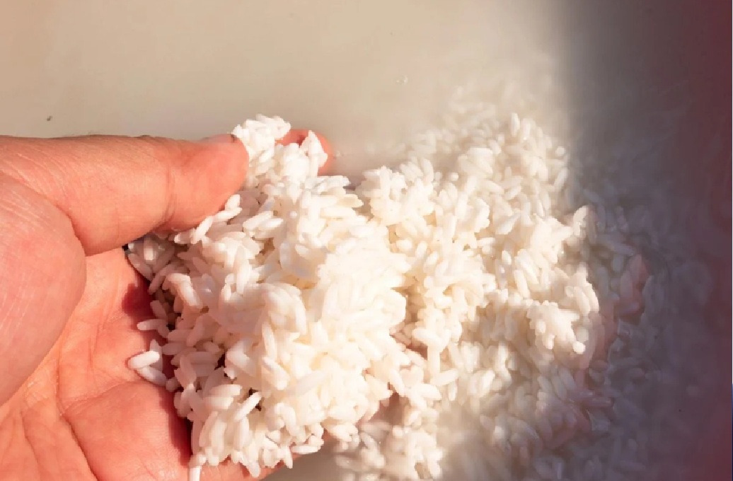 Hợp chất gia tăng tuổi thọ từ bã thải trong sản xuất rượu gạo - Ảnh 1.